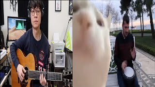 Bilal Göregen - Cat Vibing To Ievan Polkka Meme Guitar【JunMan】