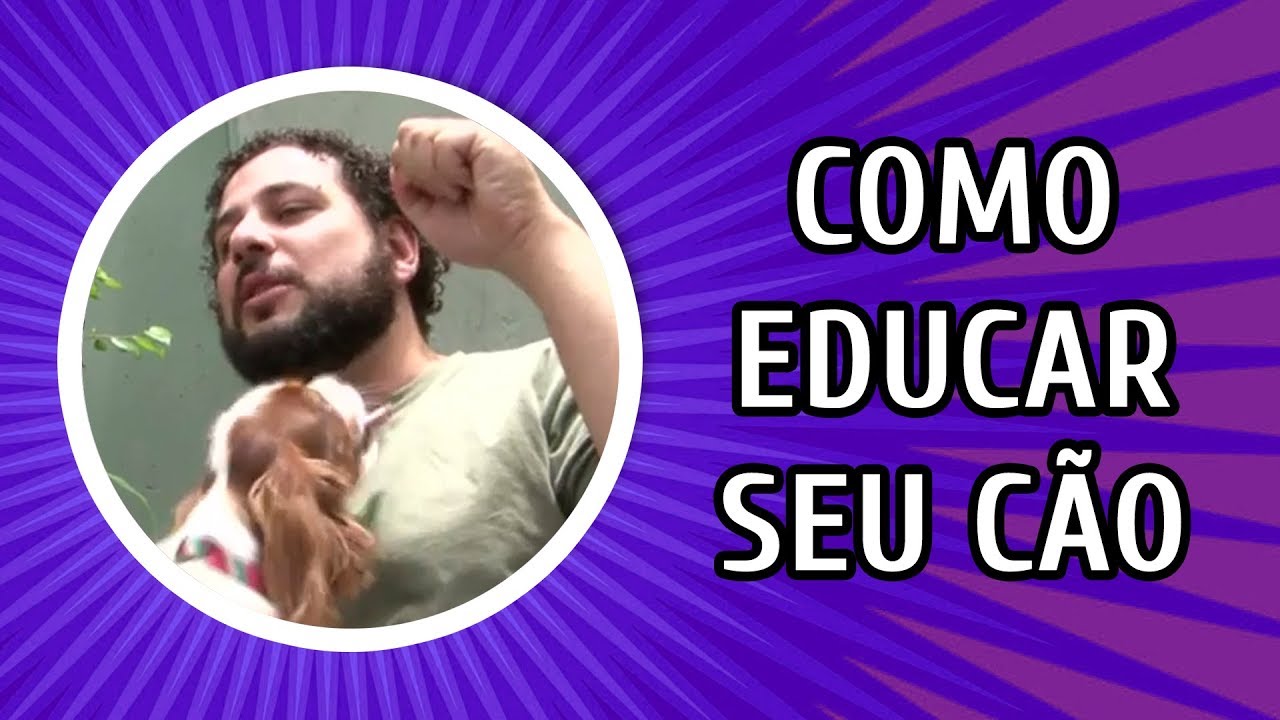 Como educar um cao Clearance