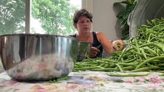 Green beans for the freezer