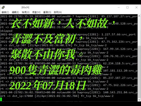 20220718 Botnet Detection Live Streaming (900+ zombies detected)