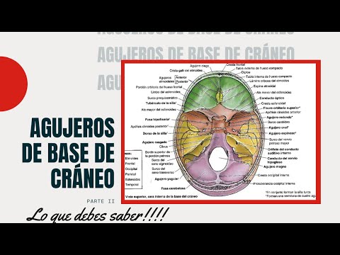 Video: Agujeros En El Cráneo: Cirujanos Expertos Vivían En La Antigua Moldavia