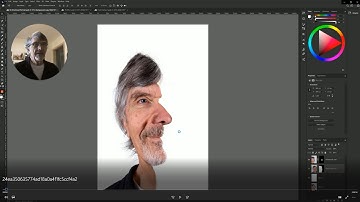 Weird Bi-Directional Optical Illusion