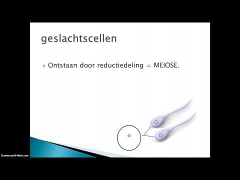 Video: Verschil Tussen Mitose En Meiose