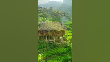 Ngôi Làng Trên Sườn Núi – Nơi Ruộng Bậc Thang Nở Hoa#travel #viral #nature #trending #youtubeshorts