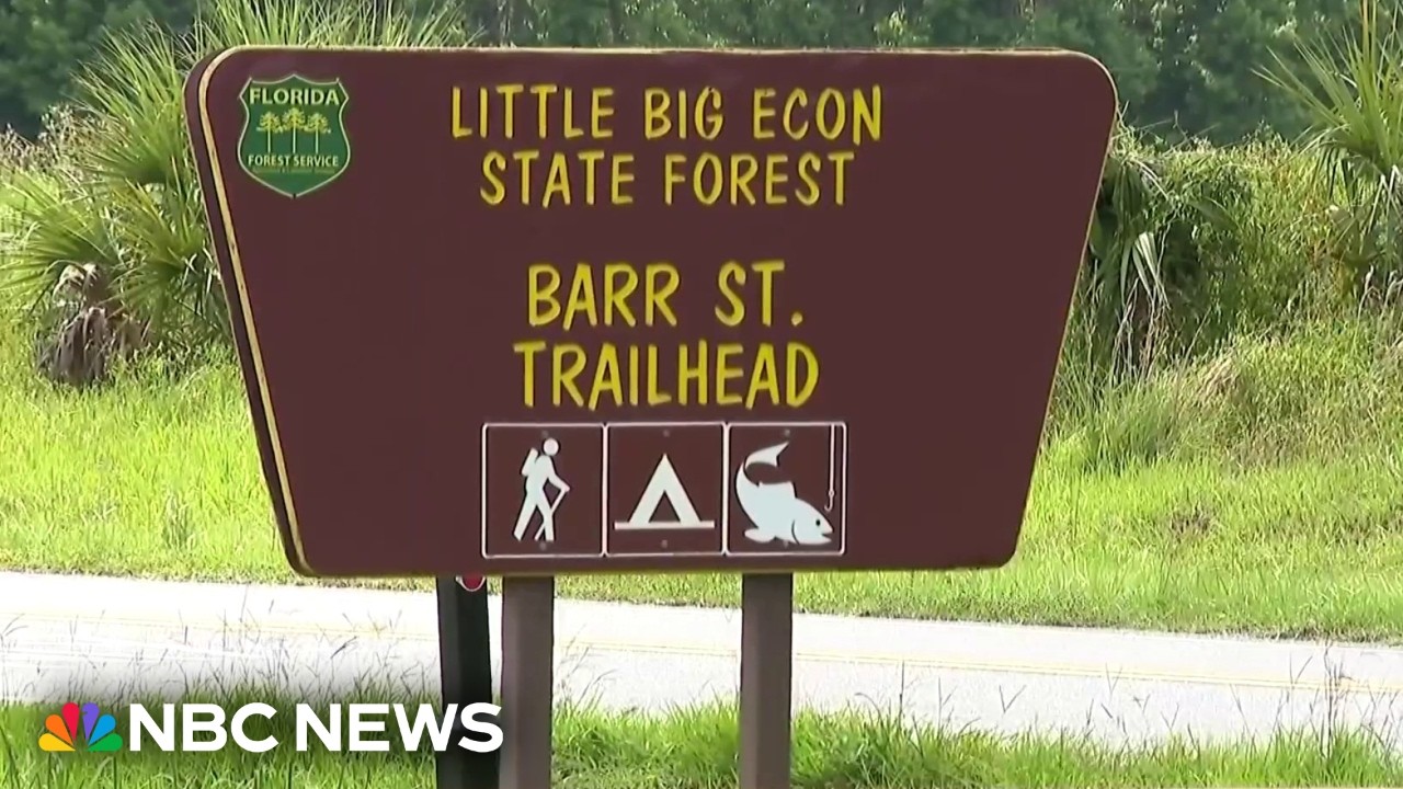 Woman dies after alligator bites off her arm in Florida river