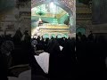 امام رضا خیلی دوست دارم