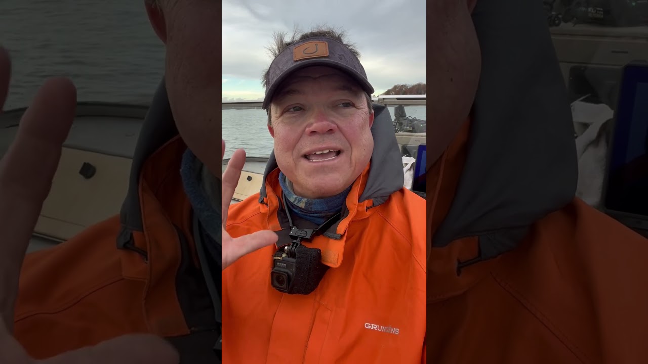 Best Bait for Winter Catfish