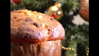 Panettone by Bravobob