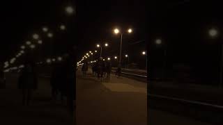 Горцы в Городе Приехали на лошадях Болеть за Хабиба Нурмагомедова