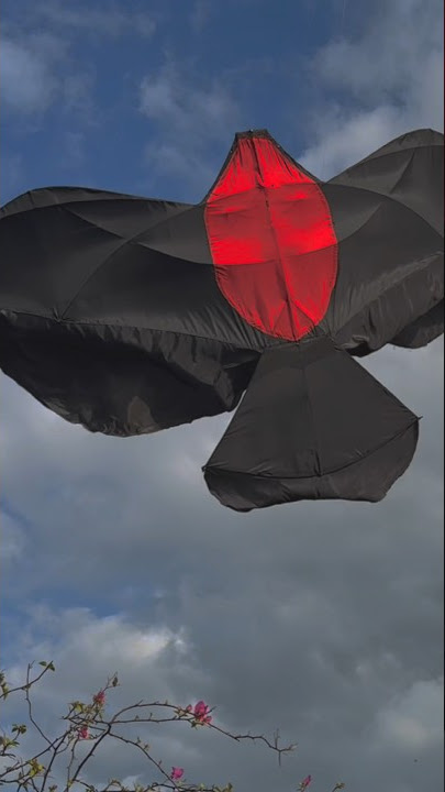 LAYANGAN PERKUTUT AJIK MENGUDARA LAGI?