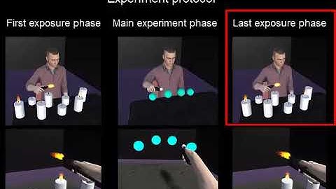 Virtual Co-Embodiment: Evaluation of the Sense of Agency while Sharing the Control of a Virtual Body