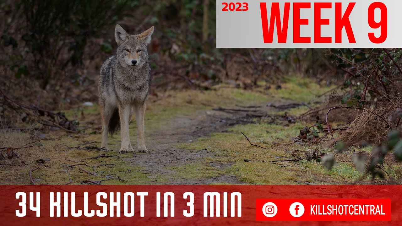 HUNTING KILLSHOT COMPILATION EP. 9 WEEKLY RECAP KILLSHOT CENTRAL