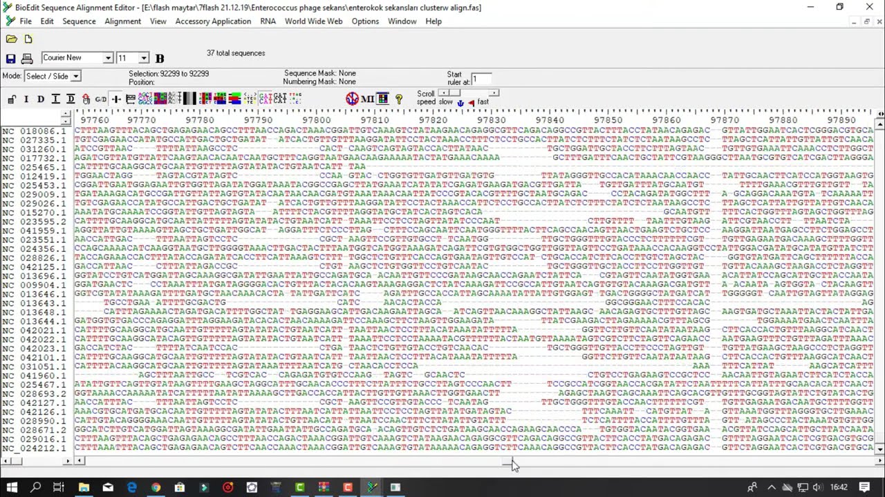 bioedit sequence alignment bioedit sequence alignment