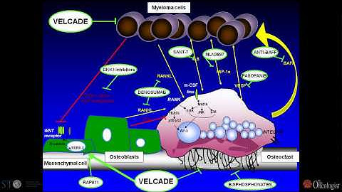 Oncogenomics to Target Myeloma in the Bone Marrow Microenvironment