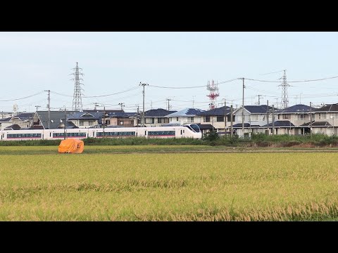 稲刈り中の田んぼと快速列車&特急ひたち26号＠宮城県岩沼市