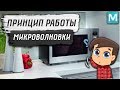 ПРИНЦИП РАБОТЫ МИКРОВОЛНОВКИ | СОВЕТЫ ОТ MY GADGET