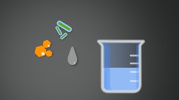 Biofuels In One Easy Step: Just Add Modified E. Coli