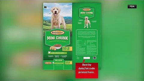 Dog food recall for Retriever brand, could be contaminated with salmonella - DayDayNews