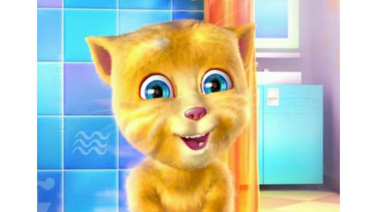 Talking Ginger Snoring can be dangerous ♥♥ Sprechende Katze Ginger