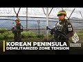 Tensions on Korean peninsula: North Korea accused of laying mines in DMZ