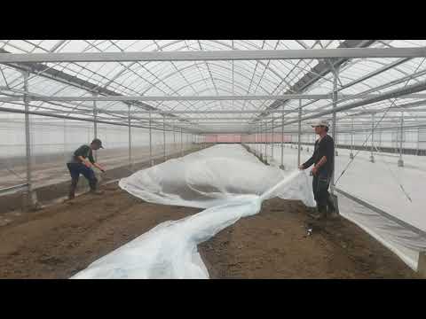 Video: Greenhouse In Autumn: Disinfection, Soil Preparation