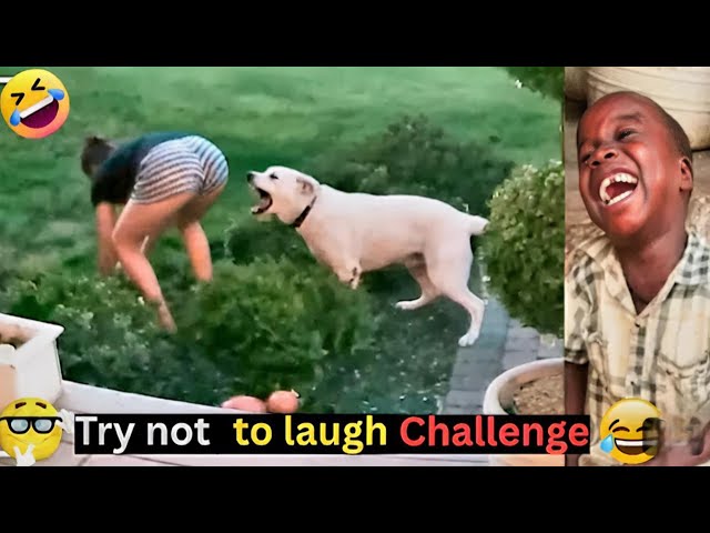 Try Not To Laugh 🤣 Top 100 Funniest Videos Ever 🎬🔥 Memes, Epic Fails & Pranks Compilation Part 6