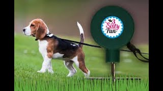Review: 3SixtyFun Pet Tie-Out