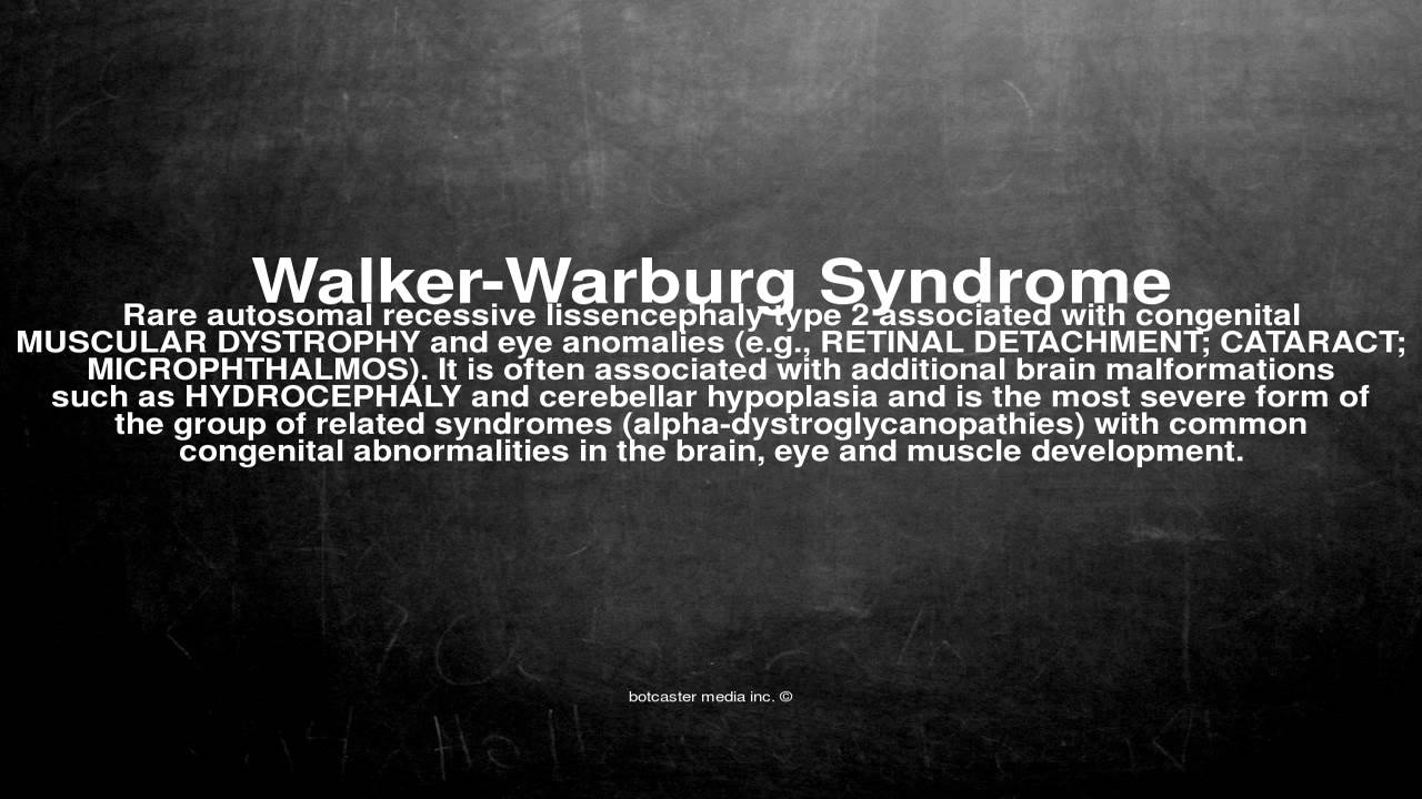 Medical vocabulary What does WalkerWarburg Syndrome mean YouTube