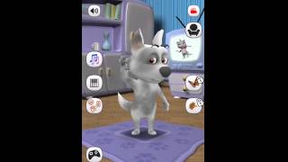 My Talking Dog Charlie - awesome talking game! #virtual pet #dog #talking_dog screenshot 4