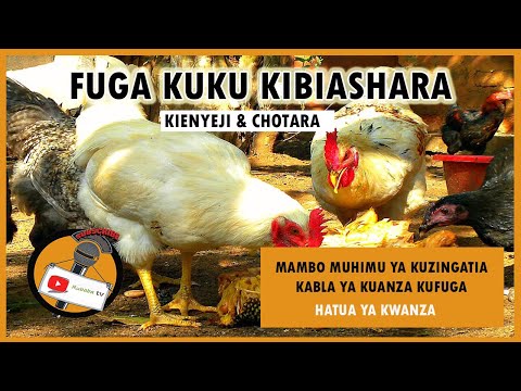 Video: Jinsi Ya Kujionyesha Katika Hati Ya Mashindano