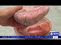 South College PA Program WATE
