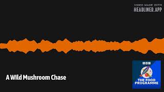 A Wild Mushroom Chase | The Food Programme