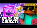 Minecraft mais cest un best of twitch