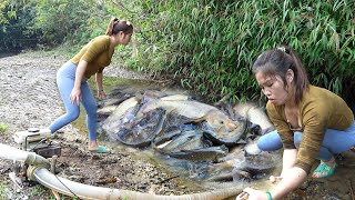 Fishing Techniques | Use A Pump To Suck Water Out Of The Lake - Girl Catching Many Big Fishlake