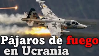 La guerrilla aérea que SALVÓ a Ucrania