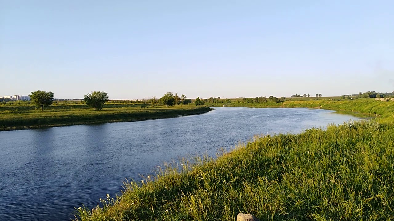 Уровень воды в днепре могилев сегодня