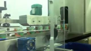 Линия Для Автоматического Одевания Термоусадочных Этикеток С Паровым Туннелем Slv-200