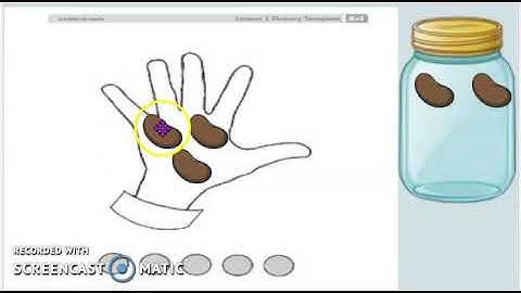 Eureka math fluency Module 1 Lesson 1: Counting beans and fingers to 3
