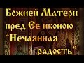 Божией Матери пред Ее иконою “Нечаянная радость”.