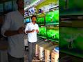 SALEM LED TV WHOLESALE PHONE NUMBER: 9047235606
