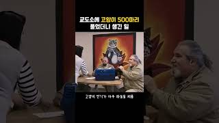 교도소에 고양이 500마리 풀었더니 생긴 일 #교도소고양이 #감동실화 #감동동영상 #기적의변화 #유기묘보호