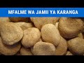 Makungukweme oysternuts  mfalme wa jamii za karanga asili ya tanzania  faida na matumizi yake