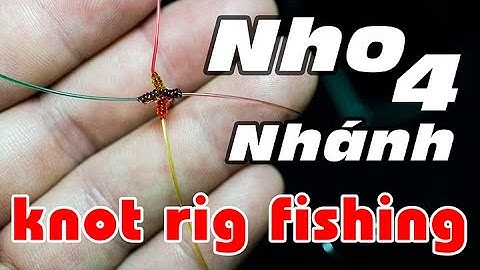 TÓM CHÙM NHO 4 NHÁNH - THẺO CÂU CÁ 4 LƯỠI CÂU - KINH NGHIỆM CÂU CÁ KNOT RIG FISHING