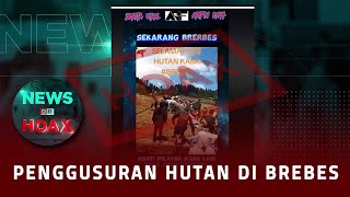 Penggusuran Hutan Di Brebes | NEWS OR HOAX