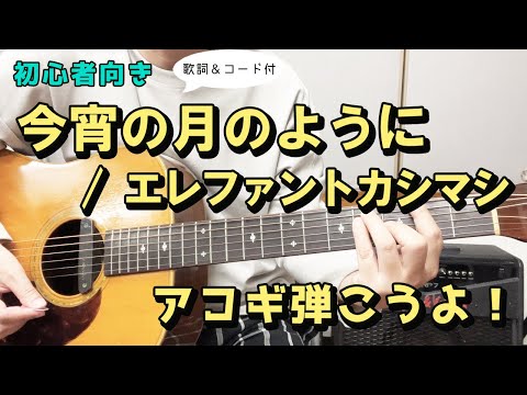 【弾き語り練習用】今宵の月のように／エレファントカシマシ  歌詞＆ギターコード付き！
