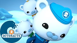 Octonauts - Les vacances d'hiver | #Noël 🎄❄️ | Dessins animés pour enfants