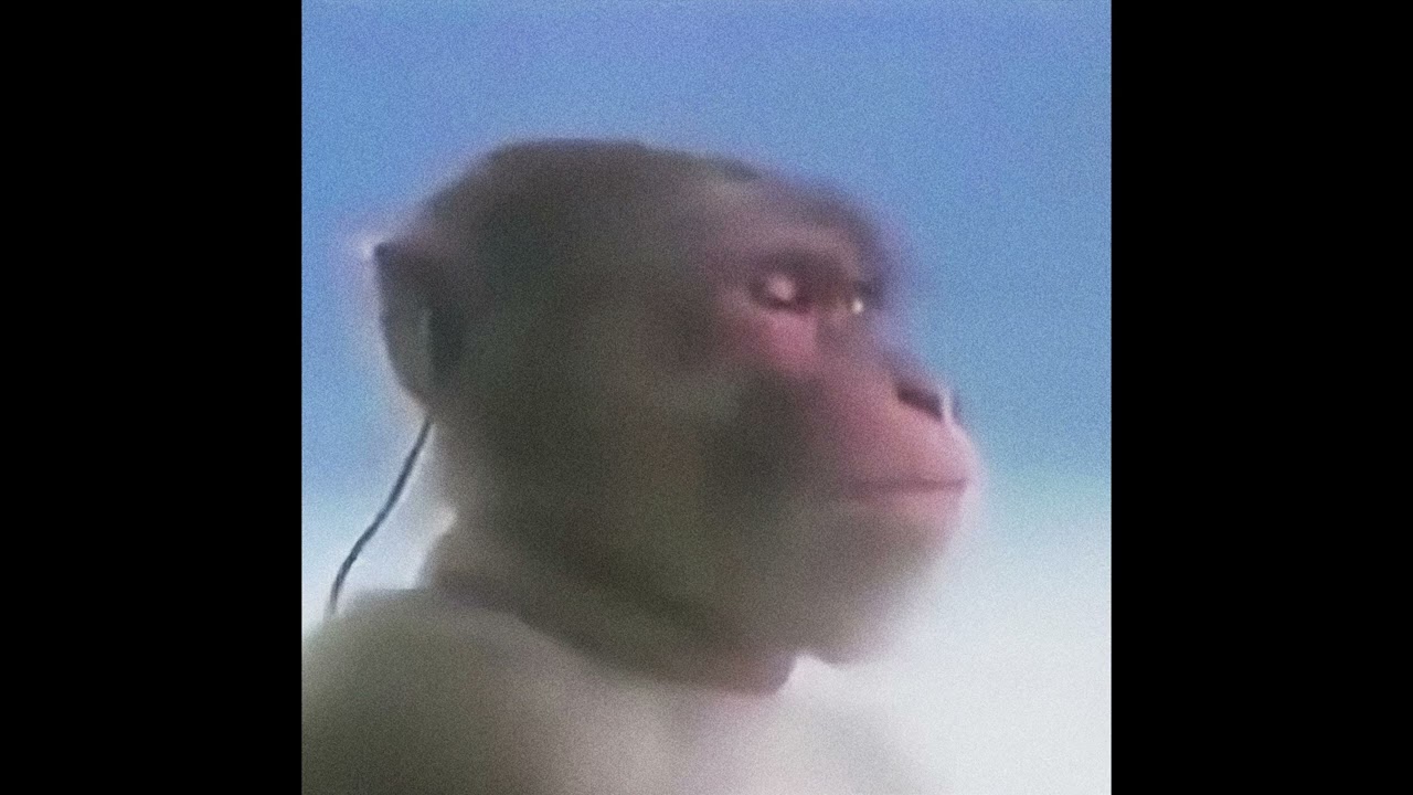 [FREE] Autumn! + Summrs + Slow Pluggnb Type Beat - 