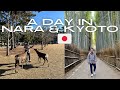 Japan 2024 a day in nara and kyoto   steventravels