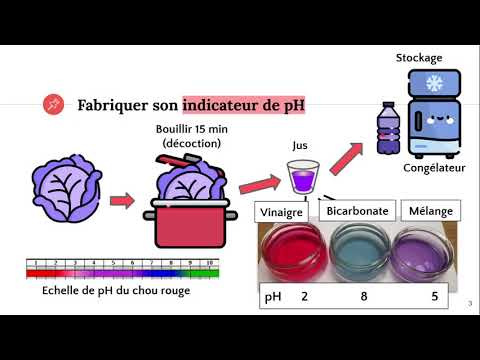 Vidéo: Quelles sont les couleurs de niveau de pH?