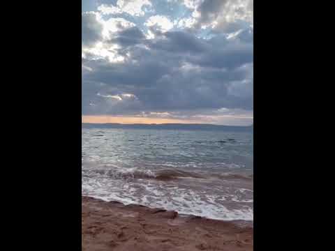 في صوت البحر جنة